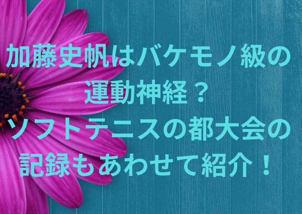 加藤史帆はバケモノ級の 運動神経？ ソフトテニスの都大会の 記録もあわせて紹介！